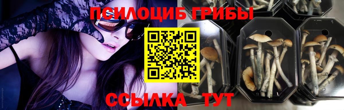 как найти закладки  Вход с VPN  Галлюциногенные грибы прущие грибы  Глазов  Галлюциногенные грибы ЛСД 